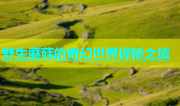 野生蘑菇的奇幻世界探秘之旅