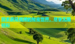 探索蘑菇视频的秘密世界，尽享无限精彩