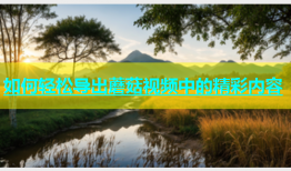 如何轻松导出蘑菇视频中的精彩内容