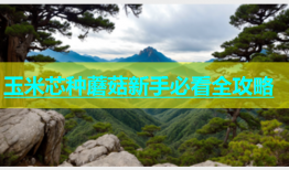 玉米芯种蘑菇新手必看全攻略
