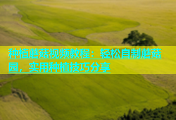 种植蘑菇视频教程：轻松自制蘑菇园，实用种植技巧分享