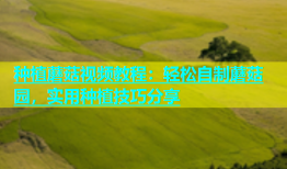 种植蘑菇视频教程：轻松自制蘑菇园，实用种植技巧分享