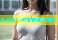 玉米棒上的神奇蘑菇种植技巧揭秘