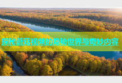 探秘蘑菇视频的隐秘世界与奇妙内容