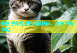 探索蘑菇视频的无限精彩，立即下载体验