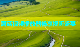 蘑菇视频播放器畅享视听盛宴