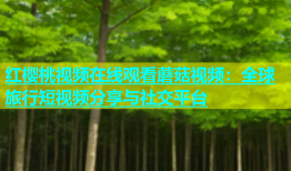 红樱桃视频在线观看蘑菇视频：全球旅行短视频分享与社交平台