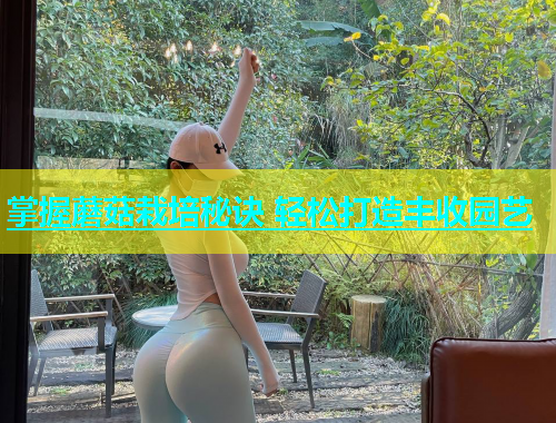掌握蘑菇栽培秘诀 轻松打造丰收园艺