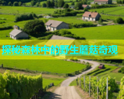探秘森林中的野生蘑菇奇观