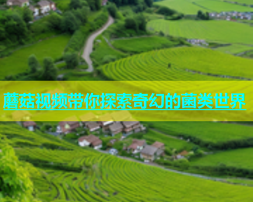 蘑菇视频带你探索奇幻的菌类世界