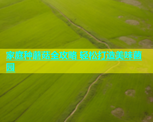 家庭种蘑菇全攻略 轻松打造美味菌园