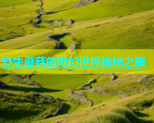 野生蘑菇的奇幻世界探秘之旅