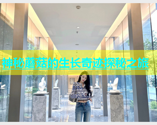 神秘蘑菇的生长奇迹探秘之旅