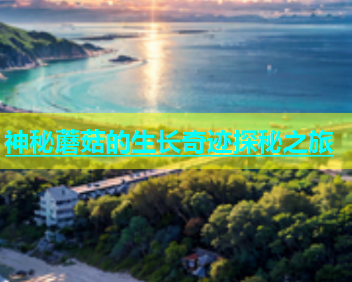 神秘蘑菇的生长奇迹探秘之旅