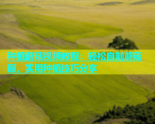 种植蘑菇视频教程：轻松自制蘑菇园，实用种植技巧分享